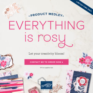 Everything is Rosy Kit from Stampin' Up!