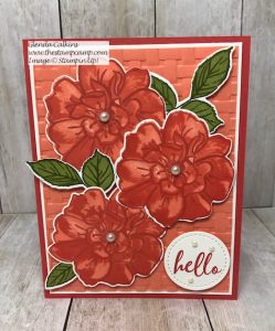 Stamparatus Tips for the "To A Wild Rose Bundle"