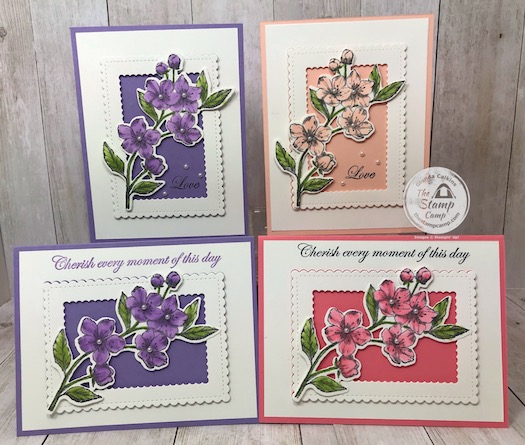 Flirty Flamingo or Petal Pink or Highland Heather