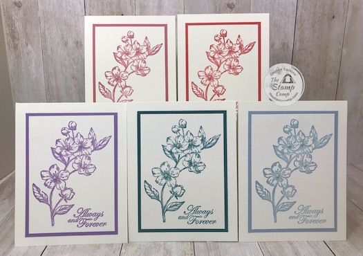 Forever Blossoms In Color Club Cards
