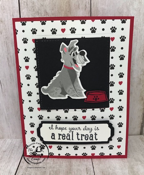 Pampered Pets Fun Fold Window Flip Card