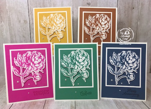 Prized Peony In Color Cards for Club Members