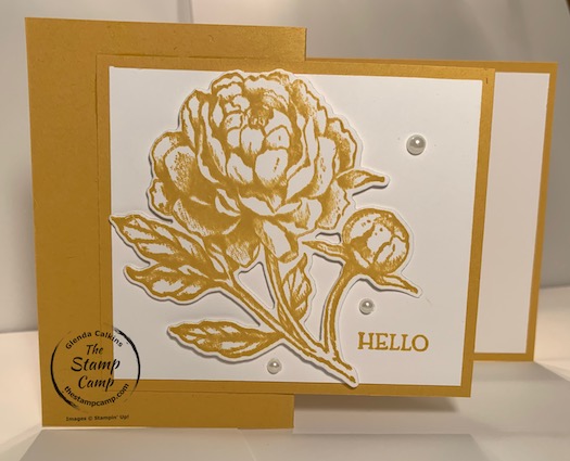 Prized Peony Bundle in Bumblebee Z Fold Card