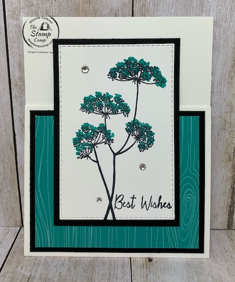 Queen Anne's Lace Bonus Card #2