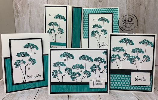 Bonus card #3 for my Queen Anne's Lace Featured Stamp Set for September. Did you know you can get this stamp set for free in September 2020? Well you can visit my blog for details here: https://wp.me/p59VWq-bts. #stampinup #thestampcamp #queenanneslace