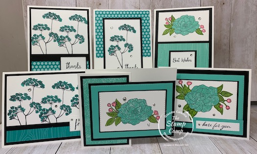 Two Featured Stamp Sets for September