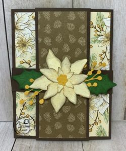 Fun Fold Friday - With Poinsettia Place DSP
