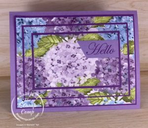 Hydrangea Hill Designer Series Paper Triple Time