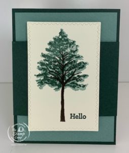 The Stampin' Up! Beauty of Friendship is Perfect for Today's Fun Fold!