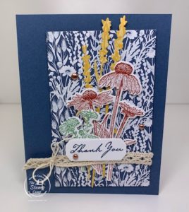 Where Did I Get The Inspiration For This Nature's Harvest Card?