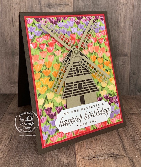 tulip fields